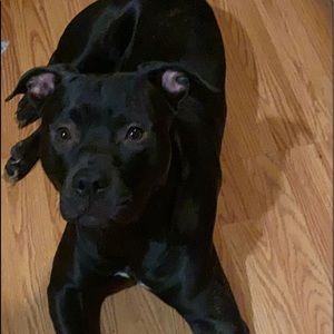 Meet your Posher, Kaitlin